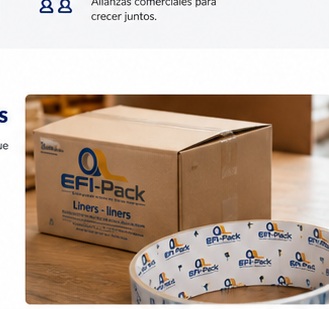 Caja y presentación de producto EFI-Pack
